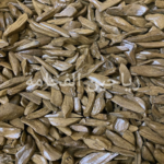 عود المروكي الخاص شبيه الطبيعي ( ثمن كيلو 125 جرام )