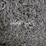 كلمنتان بنتلي الأصلي ( محسن ) أوقية 30 جرام