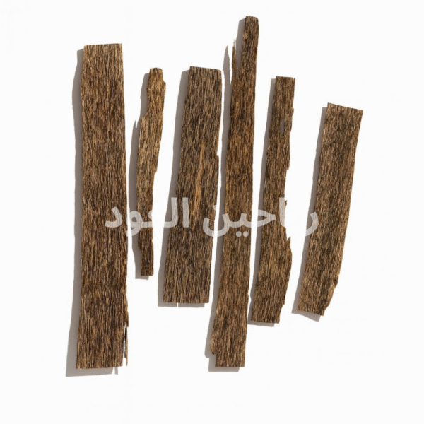 من أجمل روائع العود الرقائق .. ننصح به